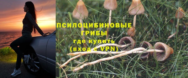 синтетический гашиш Горнозаводск